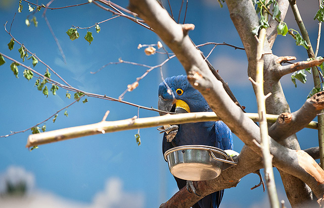 特价优惠的ddos在线攻击工具