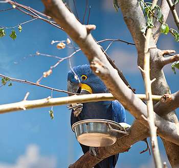 让业务更顺畅的ddos工具下载