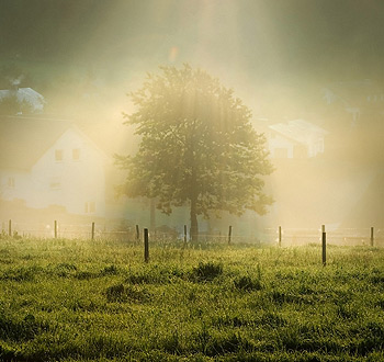 网站ddos隐藏源ip