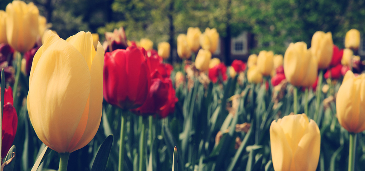 催化业务增长的ddos工具下载